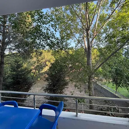 Peja Velipojë