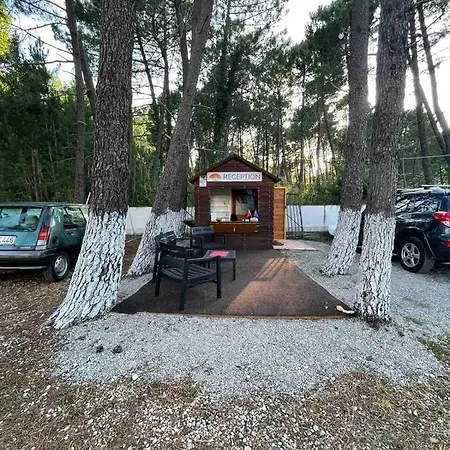 Peja Apartahotel Velipojë